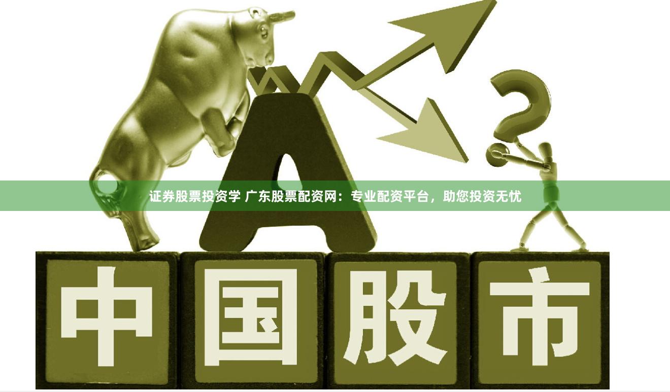 证券股票投资学 广东股票配资网：专业配资平台，助您投资无忧